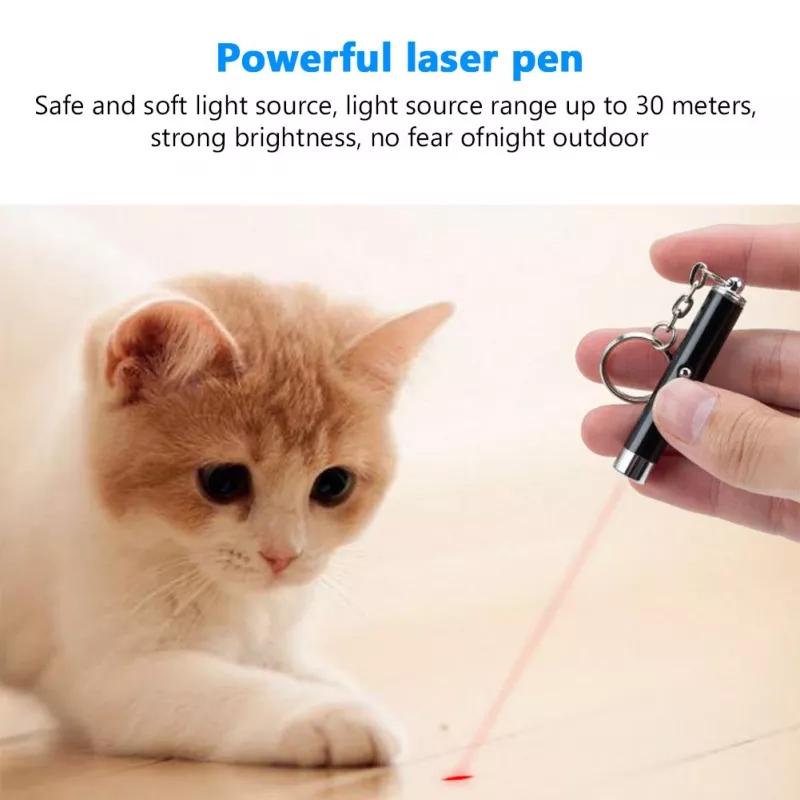 Are Laser Lights Safe For Dogs