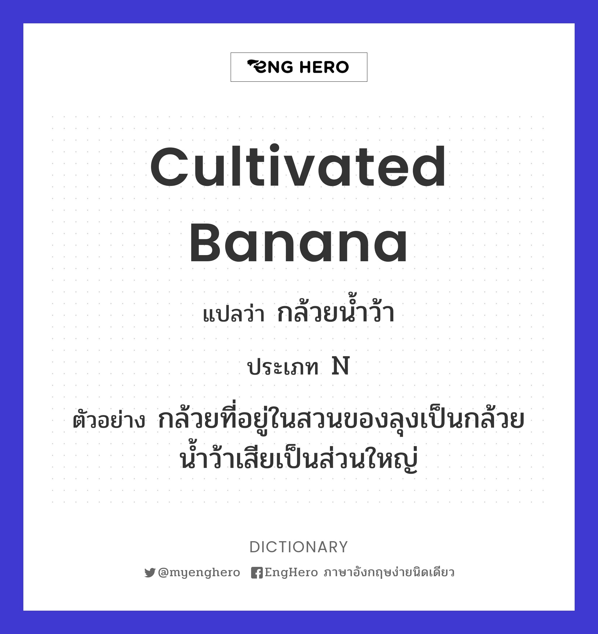 Cultivated Banana แปลว่า กล้วยน้ำว้า Eng Hero เรียนภาษาอังกฤษ ออนไลน์ ฟรี