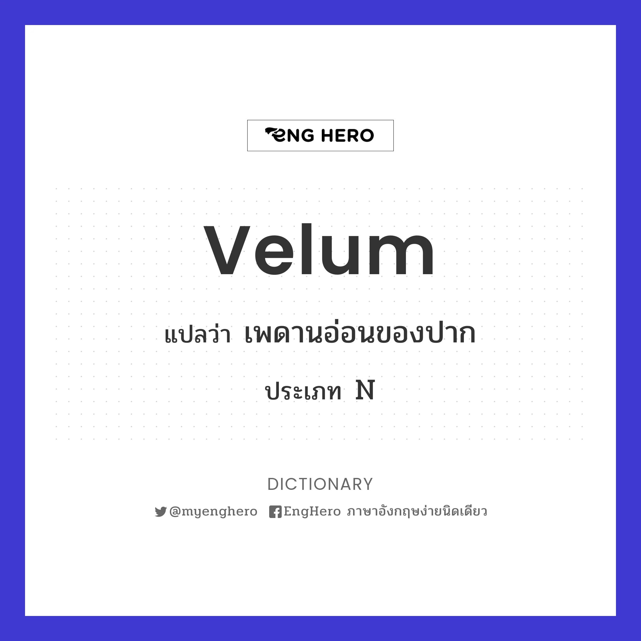 Velum แปลว่า เพดานอ่อนของปาก Eng Hero เรียนภาษาอังกฤษ ออนไลน์ ฟรี