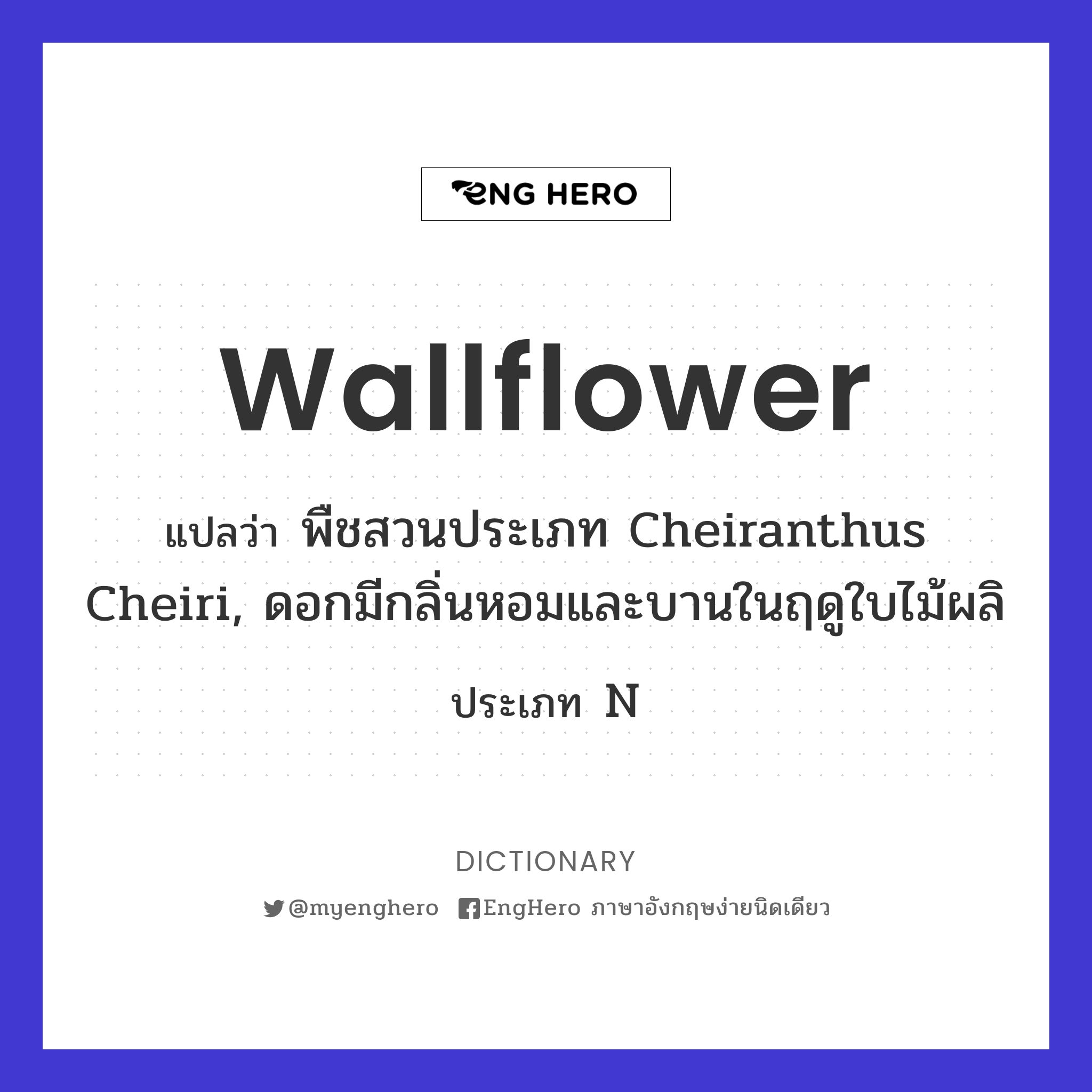 Wallflower แปลว่า พืชสวนประเภท Cheiranthus cheiri, ดอกมีกลิ่นหอมและบานในฤดูใบไม้ผลิ Eng Hero