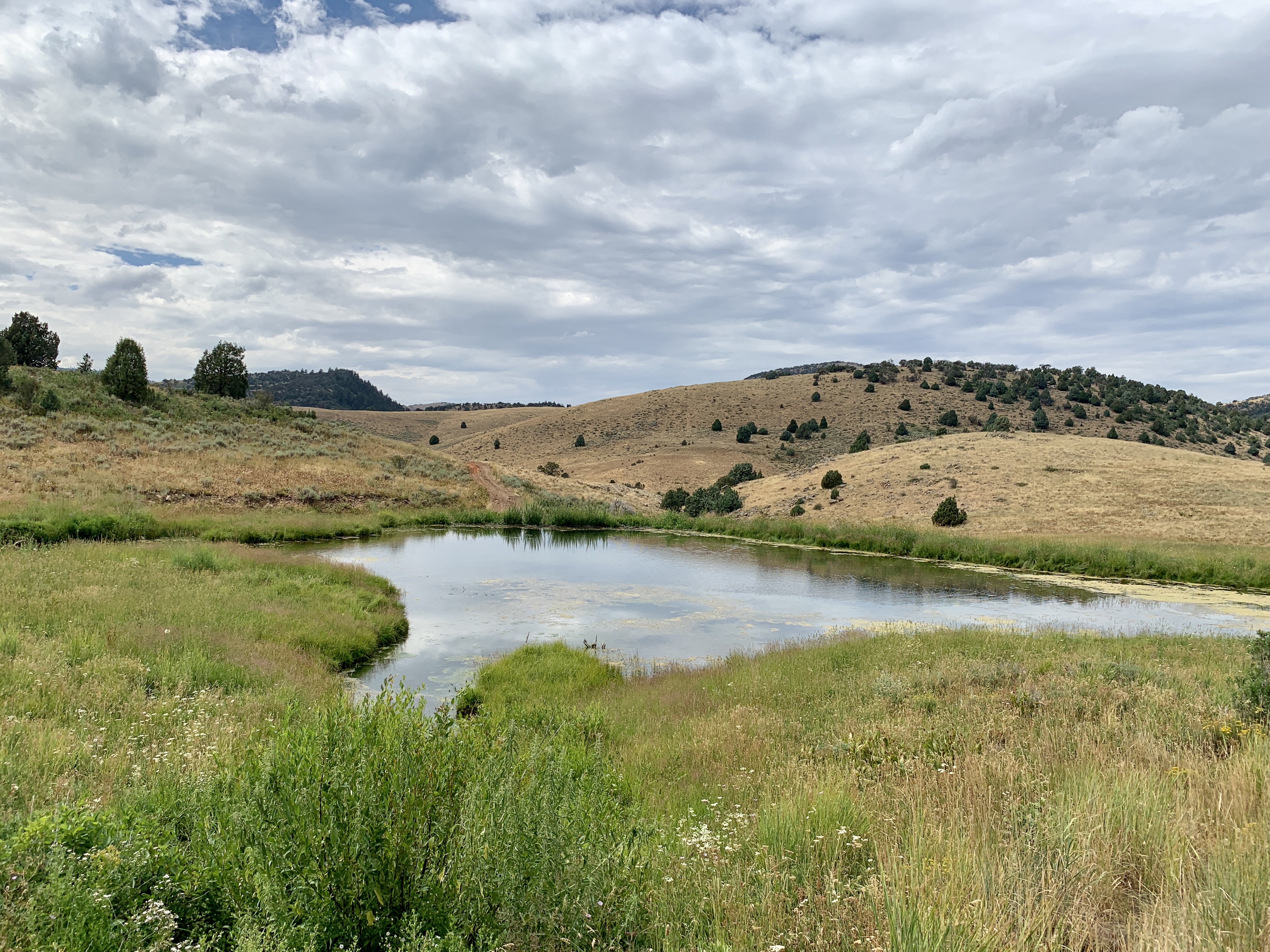 A 'major win' for wildlife enthusiasts What's next for Utah's newest