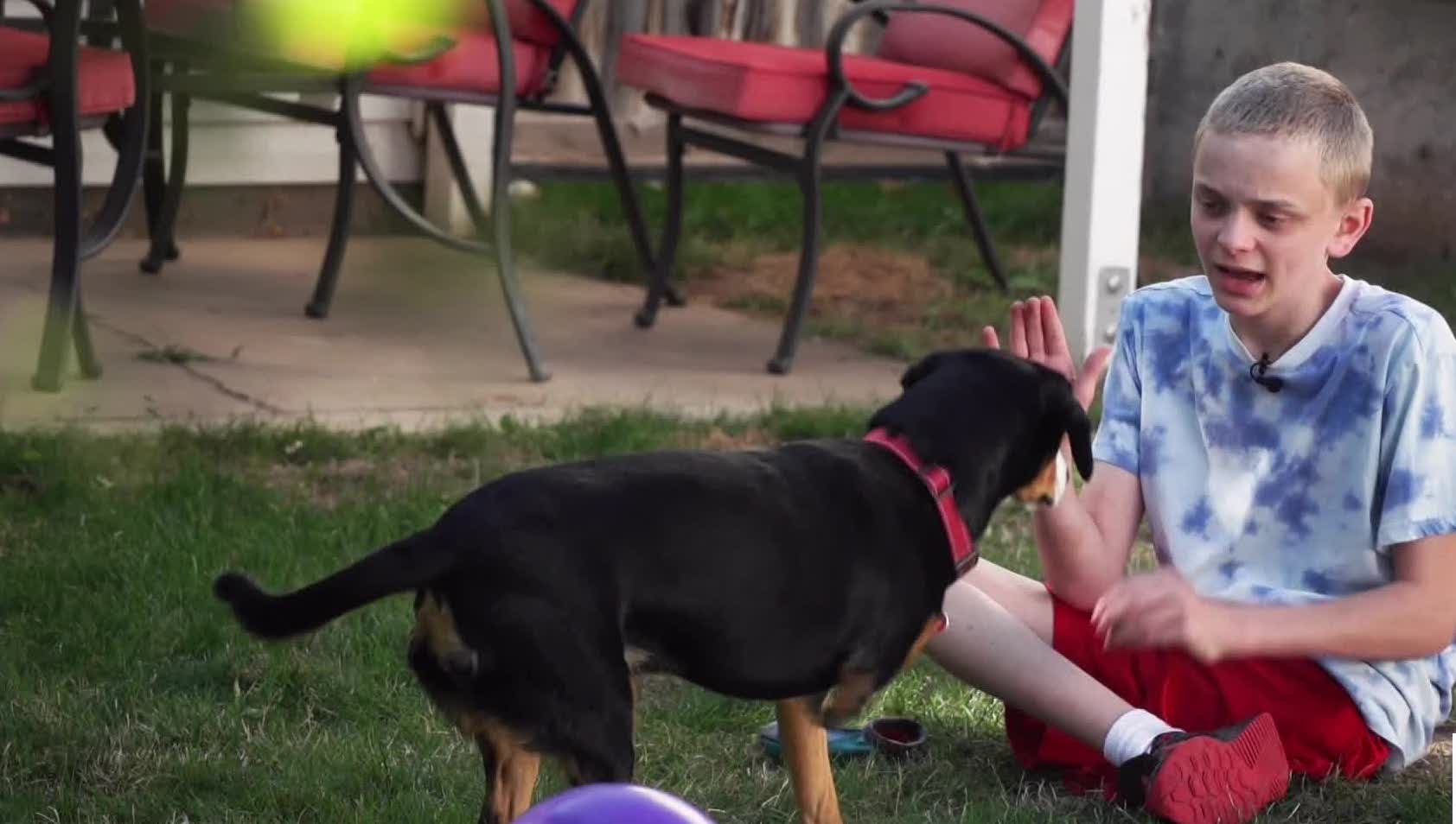 3legged dog gives Utah boy courage to deal with rare disorder