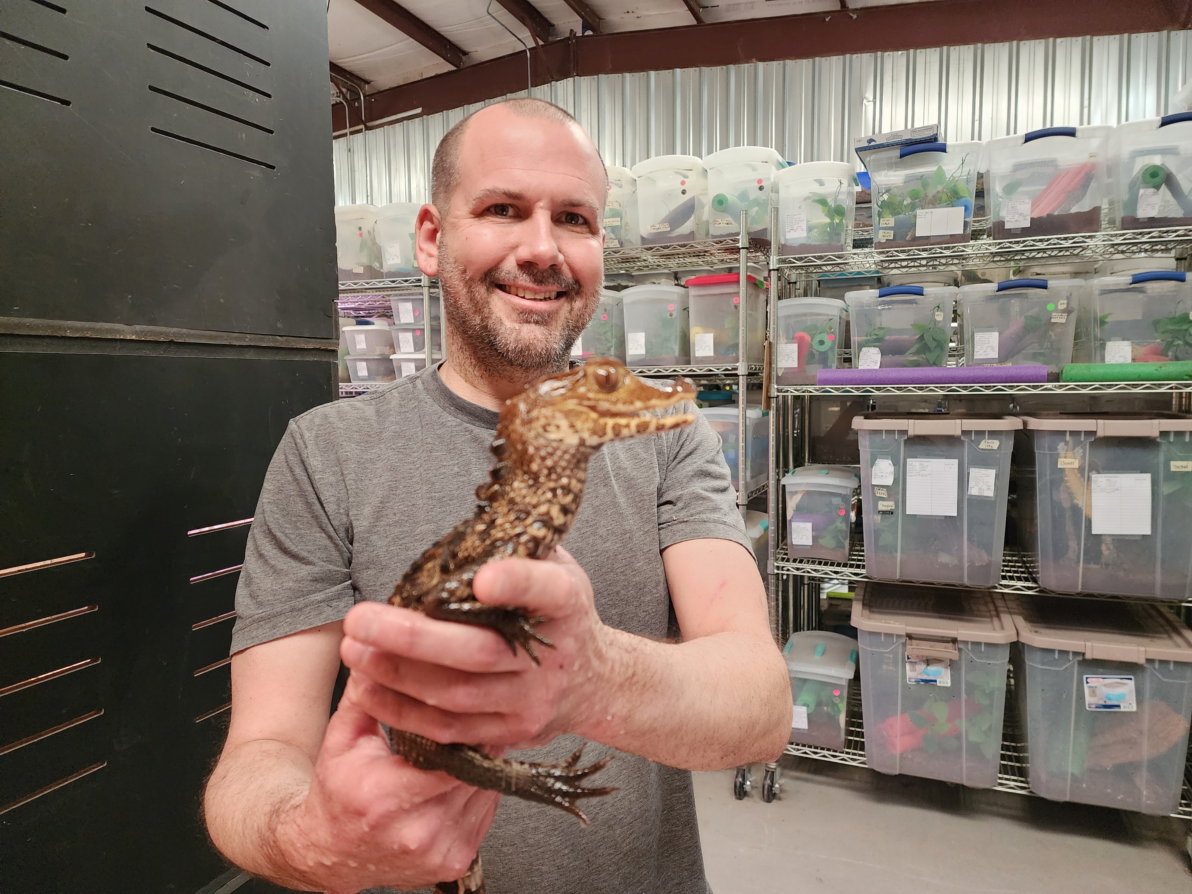 Utah college professor breeds reptiles, assists with displaced animals