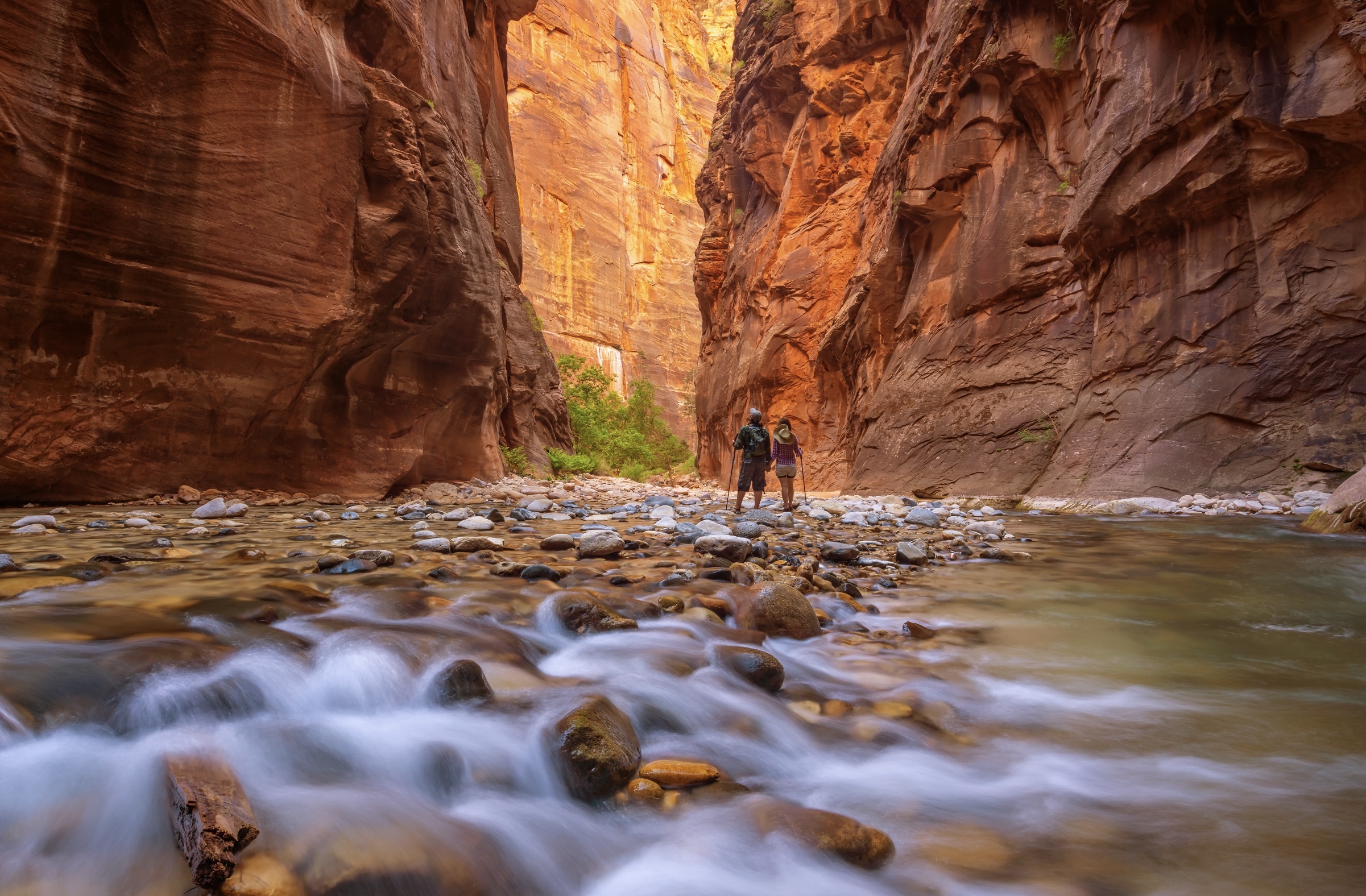 Why Zion's popular Narrows hike could be closed for months