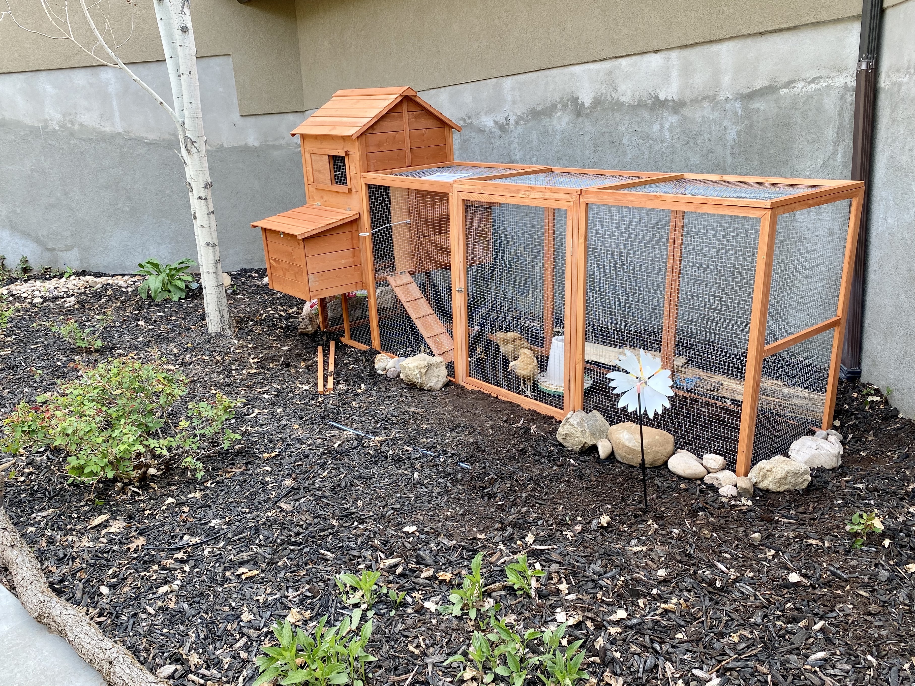 'It's like Easter morning' The fulfilling and challenging experience