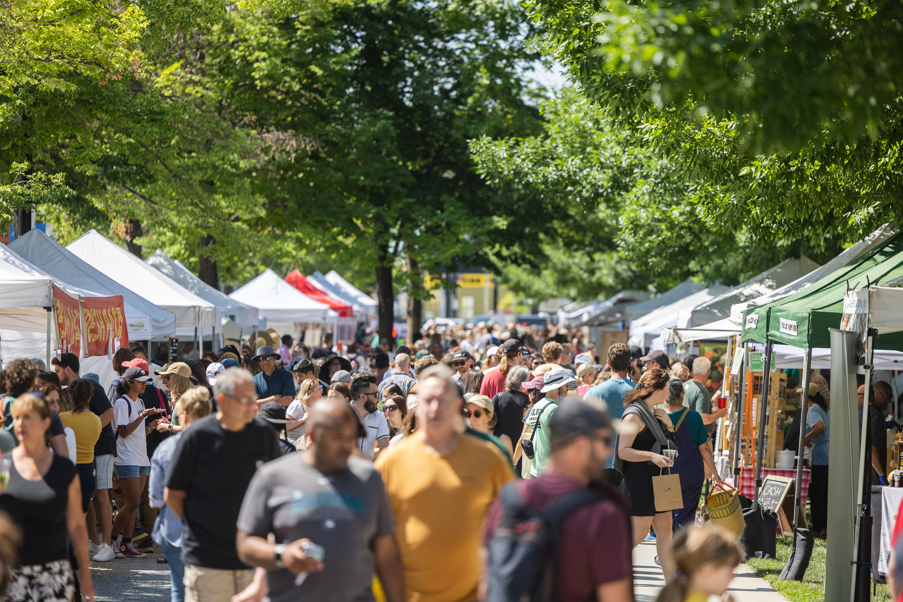 Final touches being made on plan to make over 125yearold Salt Lake park