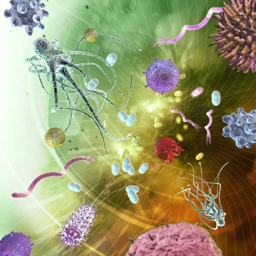 Intermountain Health researchers address overuse of antibiotics with