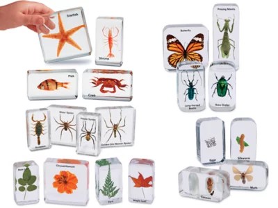 EasyView Early Science Specimens Complete Set at Lakeshore Learning