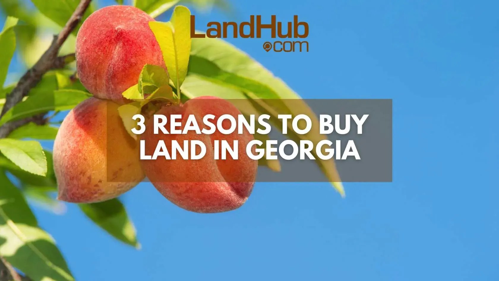 3 Reasons to Buy Land in LandHub