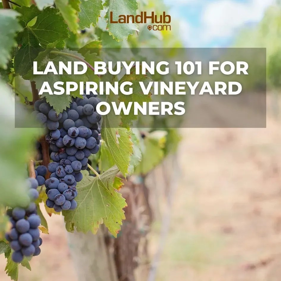 Land Buying 101 for Aspiring Vineyard Owners LandHub