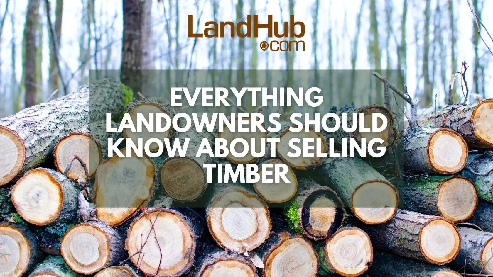 Everything Landowners Should Know About Selling Timber LandHub