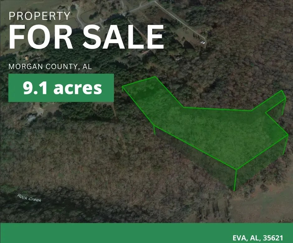 9.1 Acres Lot For Sale In Al No Restrictions!! LandHub