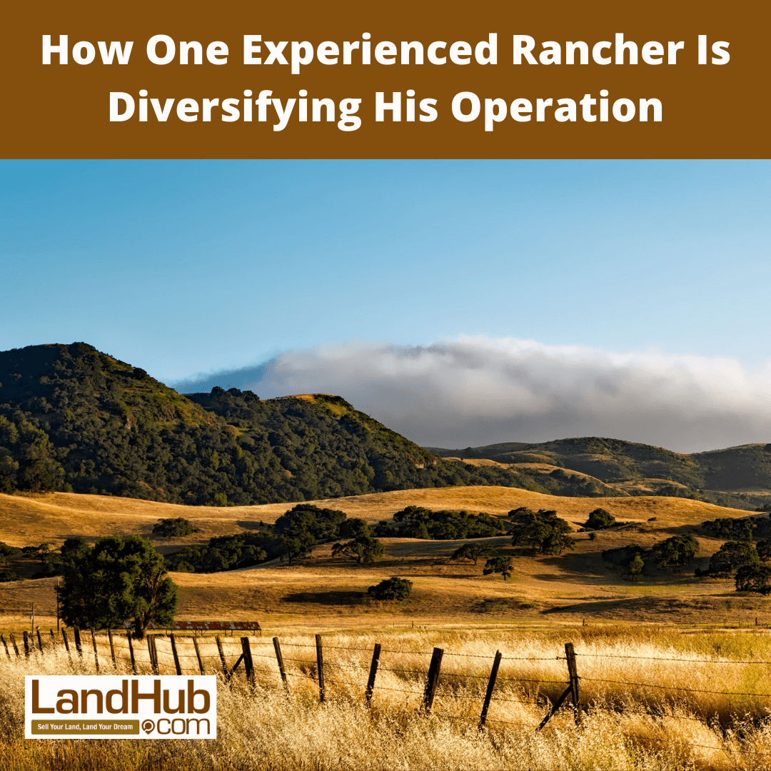 Ranch Land For Sale LandHub