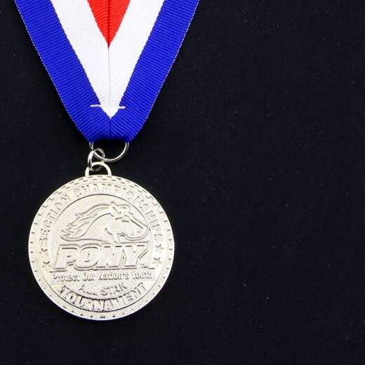 Custom Medals and Medallions Lapel Pins Plus