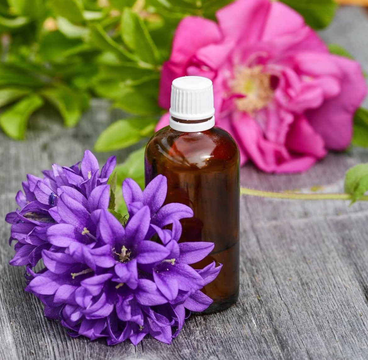 The Benefits Of Lavender Oil For Heart Health Lavender Tips