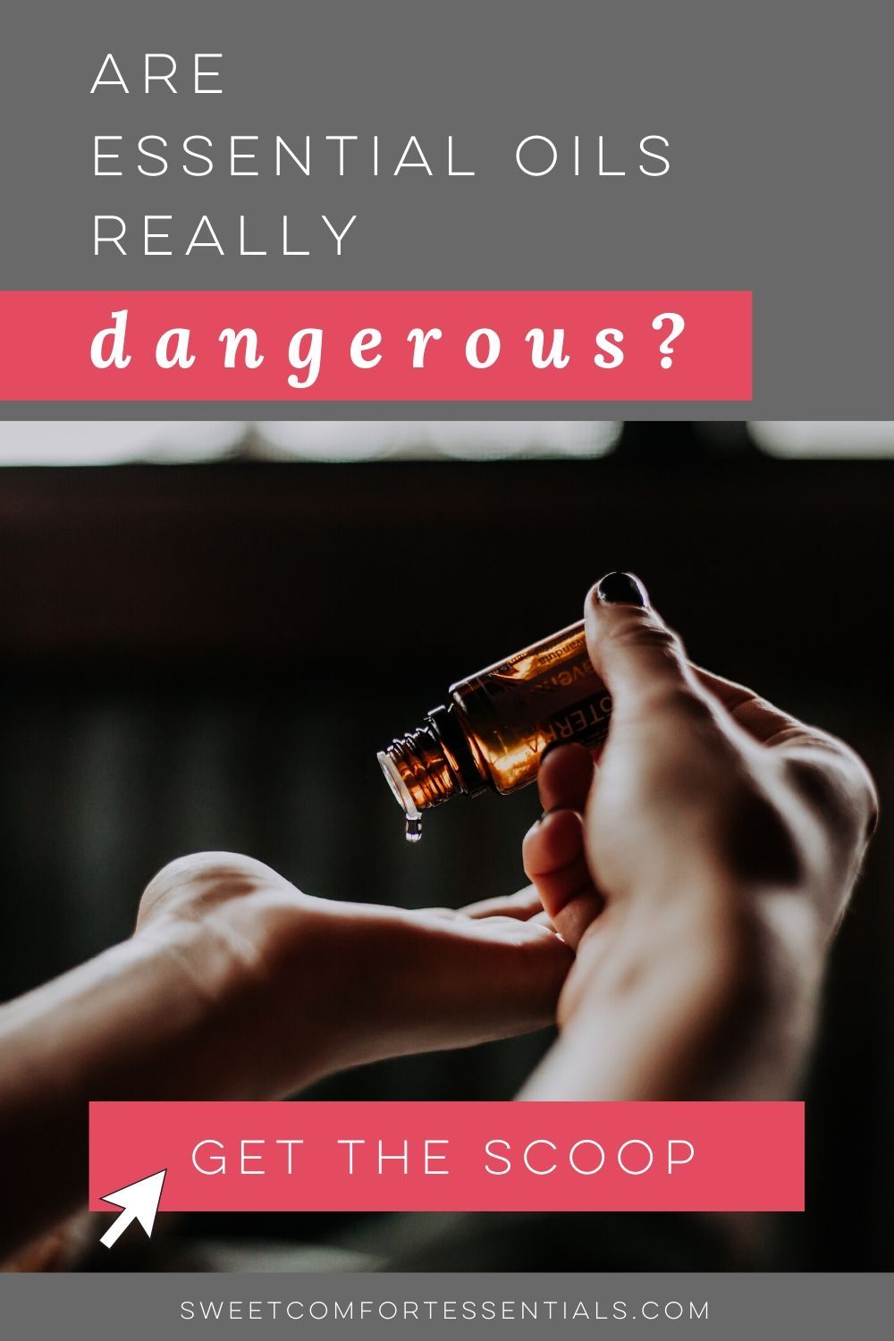 How Long Does Lavender Last For A Wedding? Exploring Factors Affecting