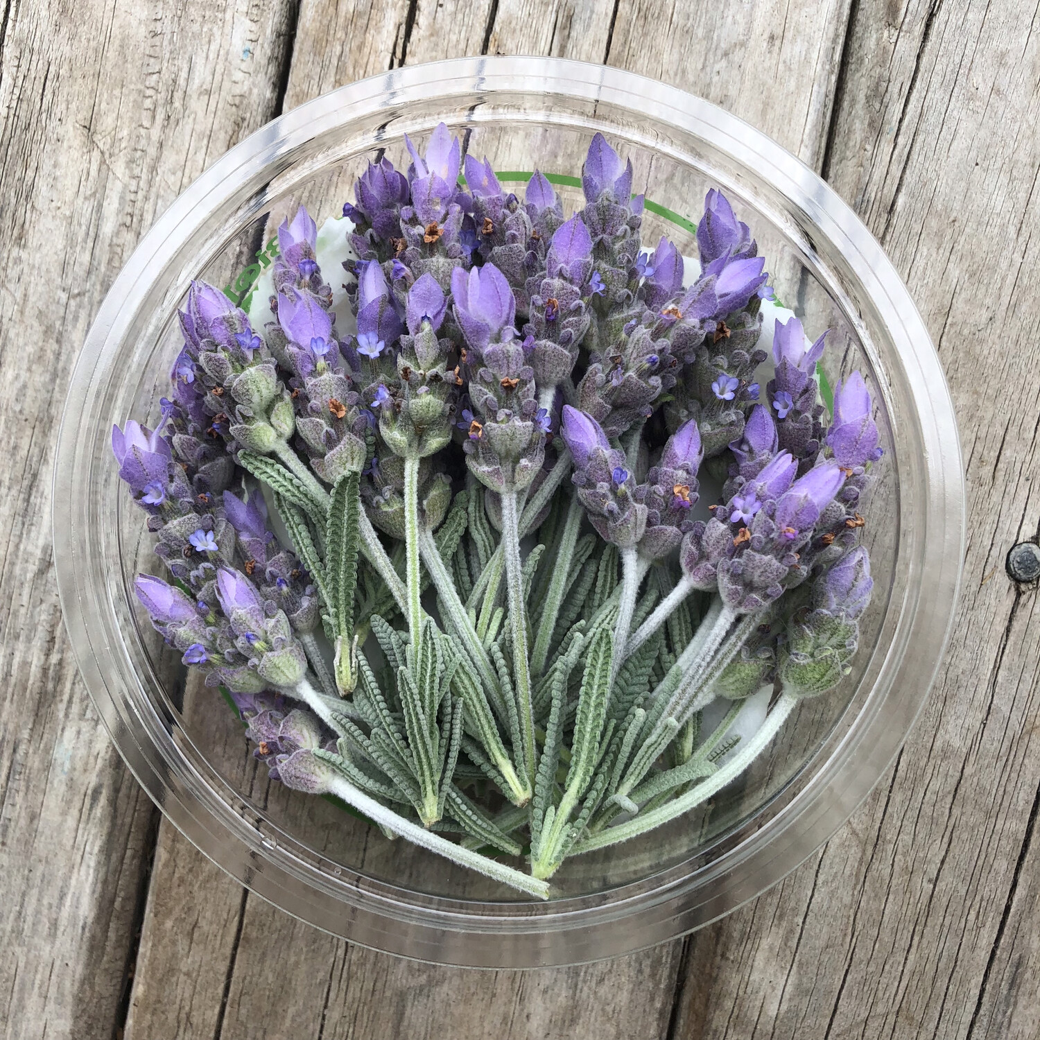 10 Recipes With Lavender That Will Surprise You Lavender Tips