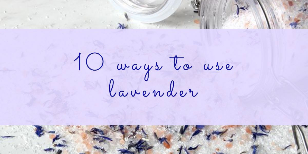 Unlock The Calming Benefits Of Lavender Bringing It Inside At The