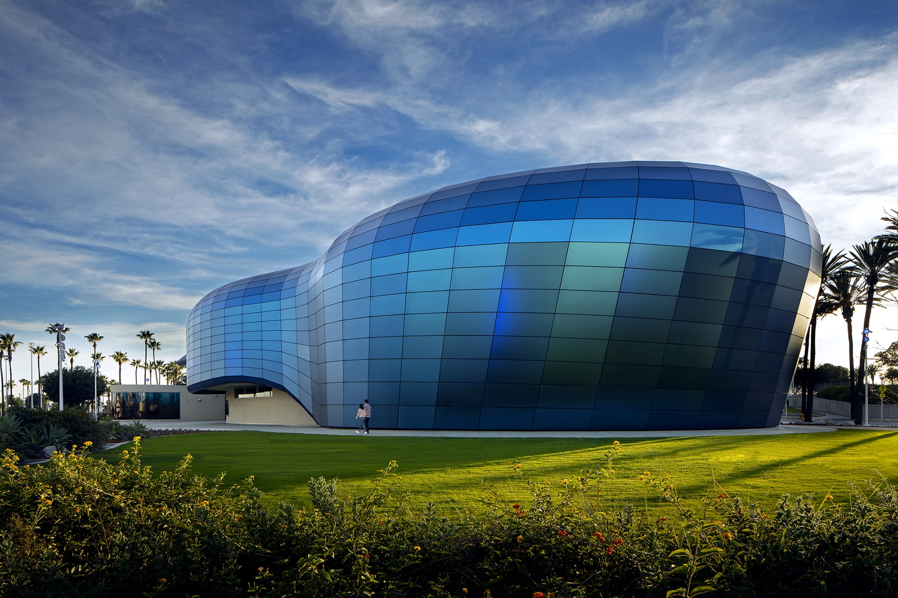 IN PICTURES & VIDEO A sneak peek of the Long Beach aquarium's 53M
