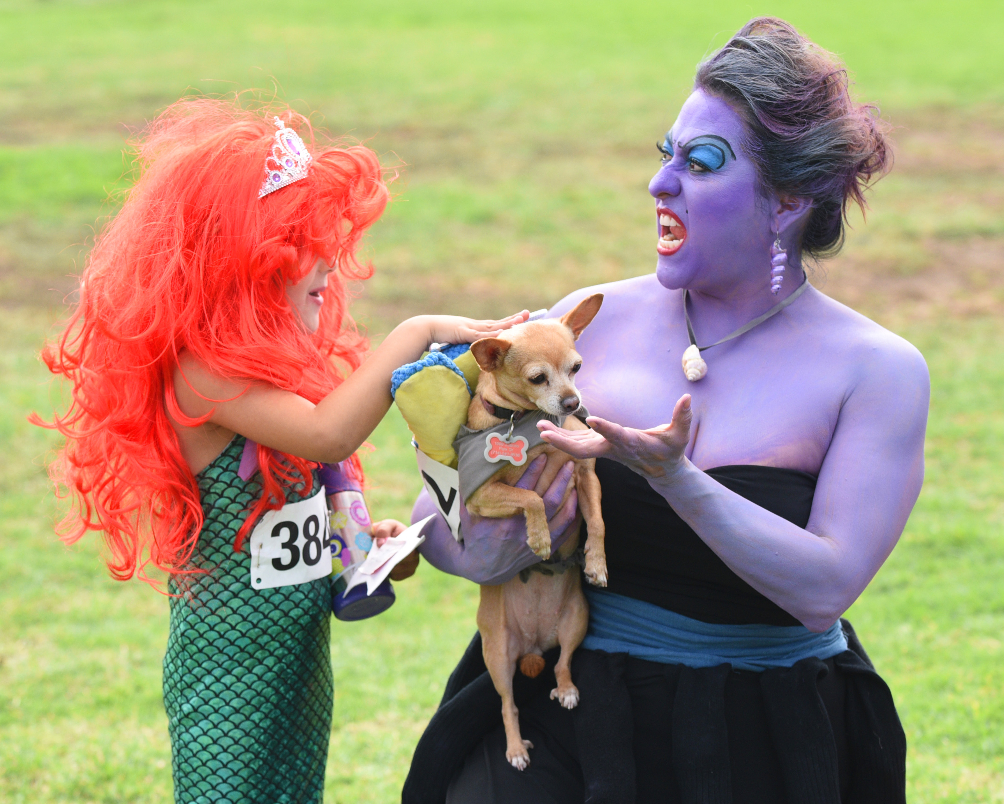 6 things to do for Halloween and Día de los Muertos in
