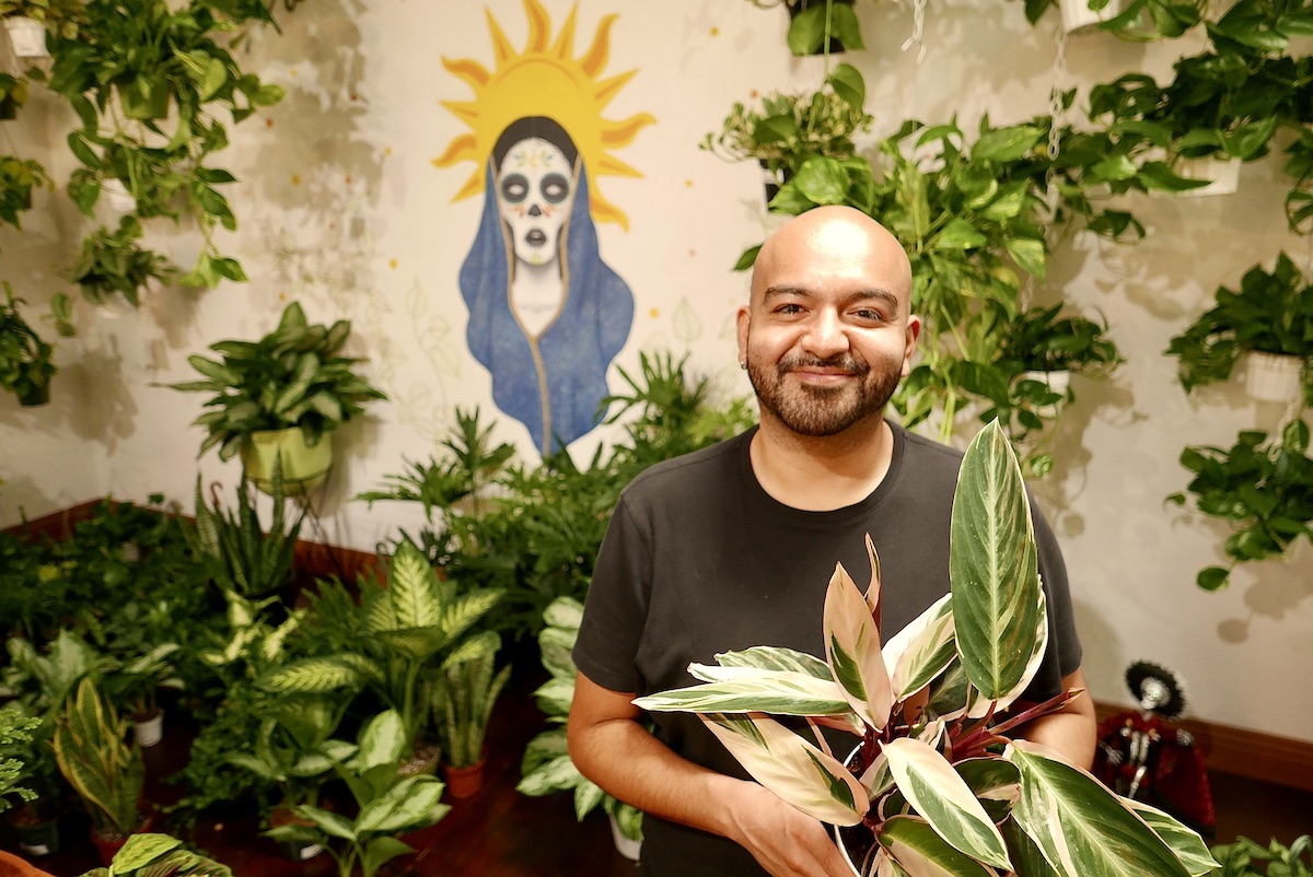 Plantiitas plant shop provides 'a space of healing' during pandemic