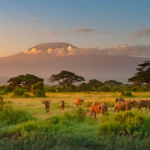 kenya / Définition KENYA