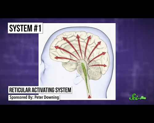 ビクッ 手描きイラスト 巴マミ B5 鉛筆画(手描きイラスト)｜売買されたオークション情報、Yahooの商品情報をアーカイブ公開 - オークファン（Aucfan.com） 眠る時に突然ビクッとする「入眠時ぴくつき」 なぜ起こる？ - ログミーBiz