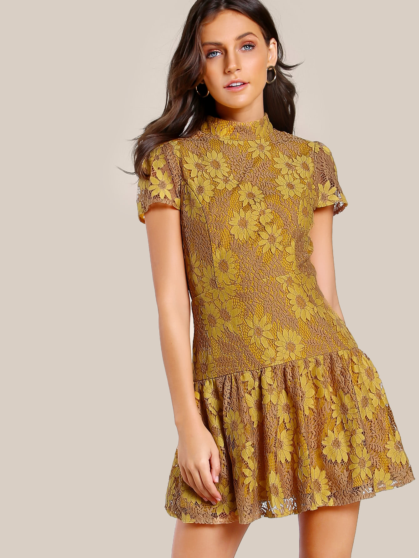 Drop Waist Fit & Flare Floral Lace Dress SheIn(Sheinside)