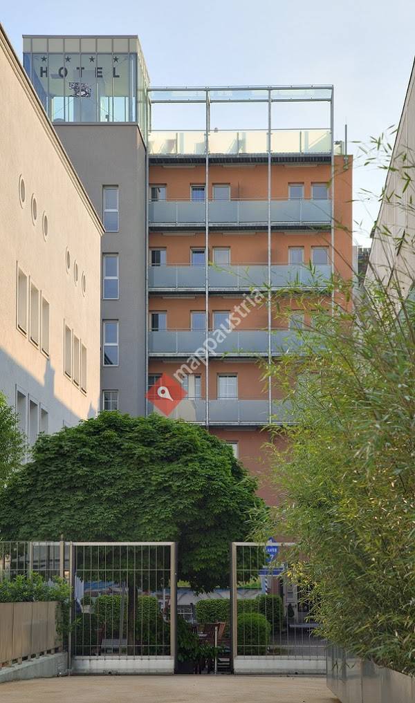 Schwarzer Bär Linz