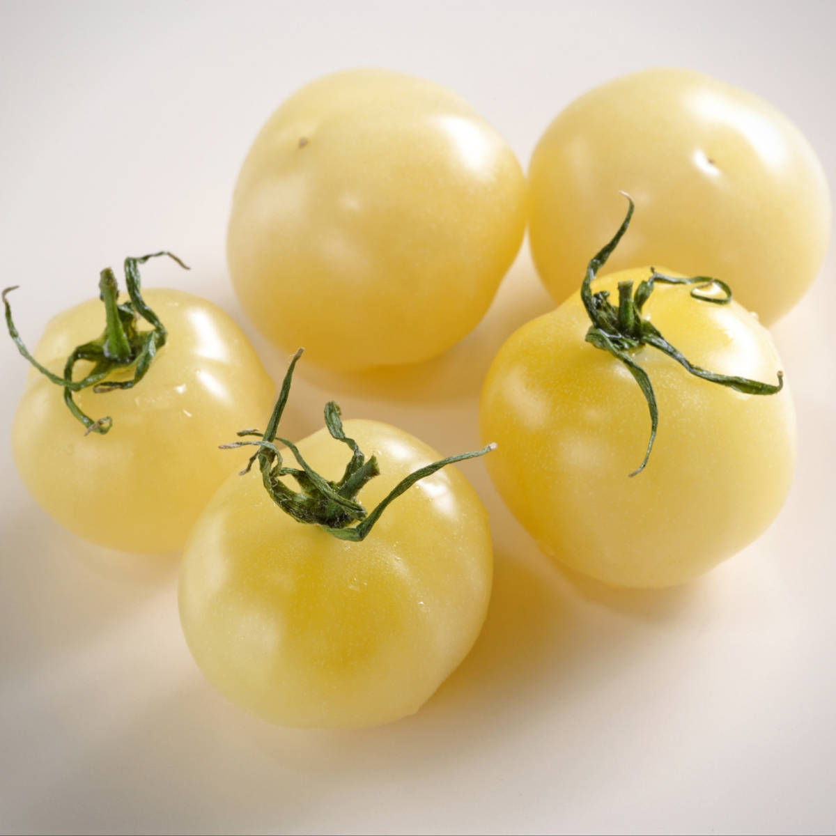 The Different Types Of Tomatoes Determinate Vs Indeterminate Master