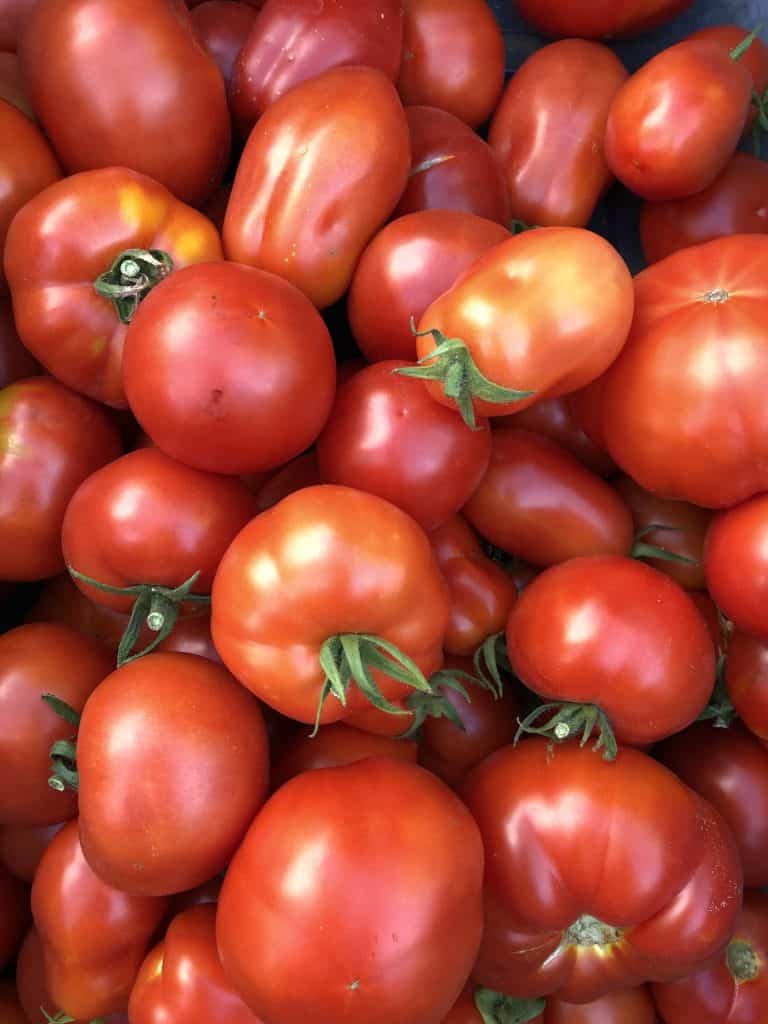 Should You Remove Dead Tomato Plants? Master Tomato