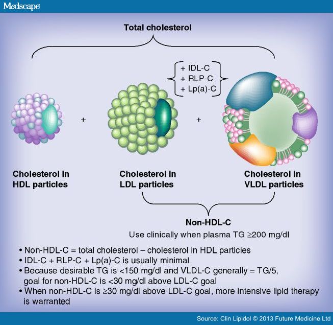 Cholesterol Non Hdl Cholesterol