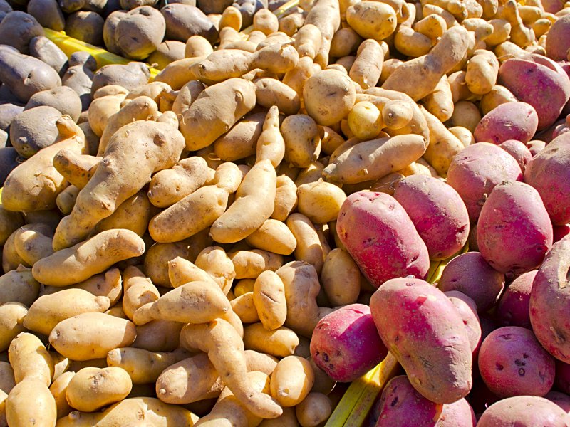 Eating Potatoes Before Pregnancy Linked to Gestational Diabetes