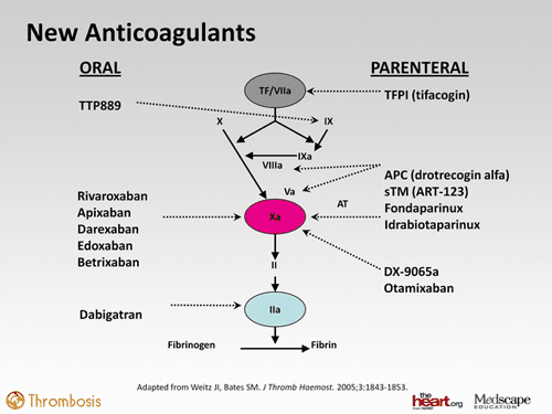 Development of Oral Factor Xa Inhibitors Part IV Assessing the Next