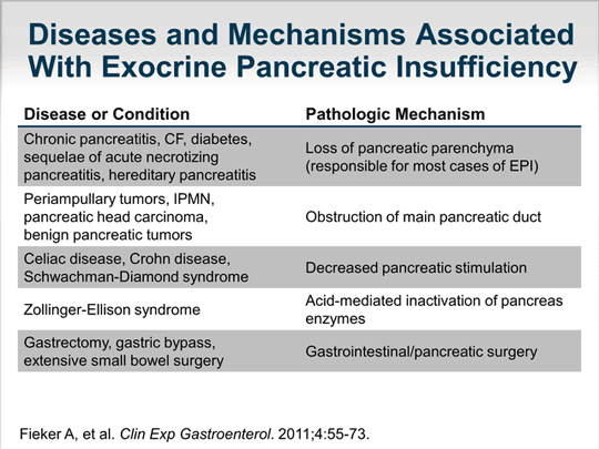 Current Challenges in Exocrine Pancreatic Insufficiency A MultiPerspective Discussion (Transcript)
