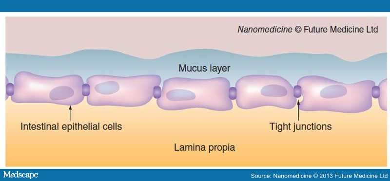 Strategies for Improving Mucosal Drug Delivery