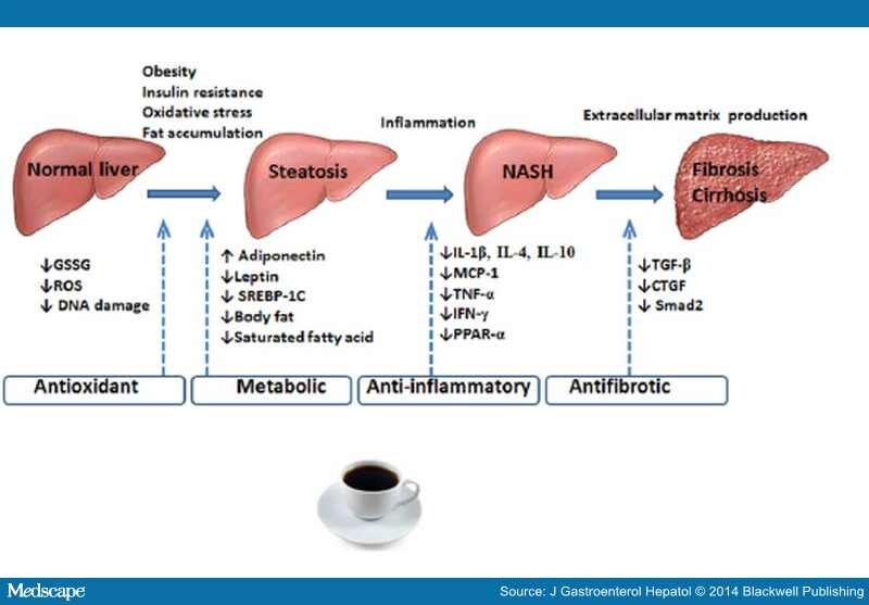 Coffee and NAFLD Brewing Evidence for Hepatoprotection?