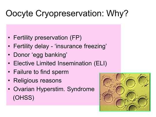 Egg Freezing How, Why & When (Transcript)