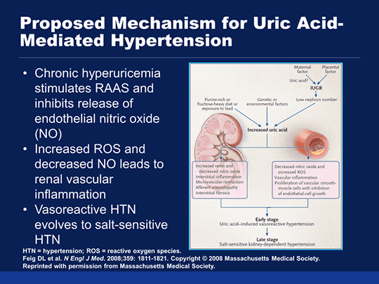Persistent Hyperuricemia A MultiPronged Approach to the Management of