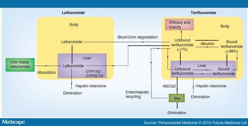 Leflunomide Dosing in Rheumatoid Arthritis Patients