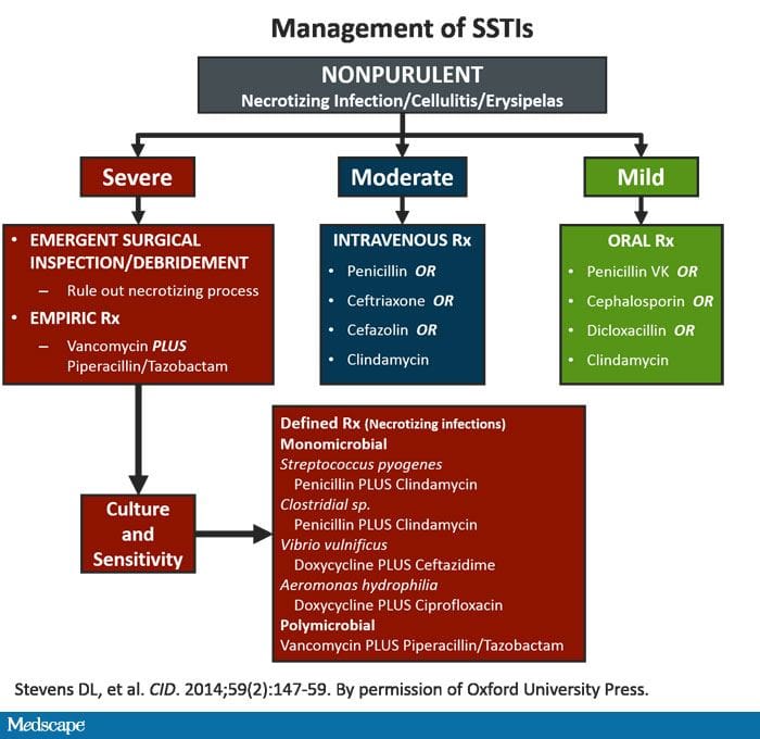 A CaseBased Approach to Acute Bacterial Skin and Skin