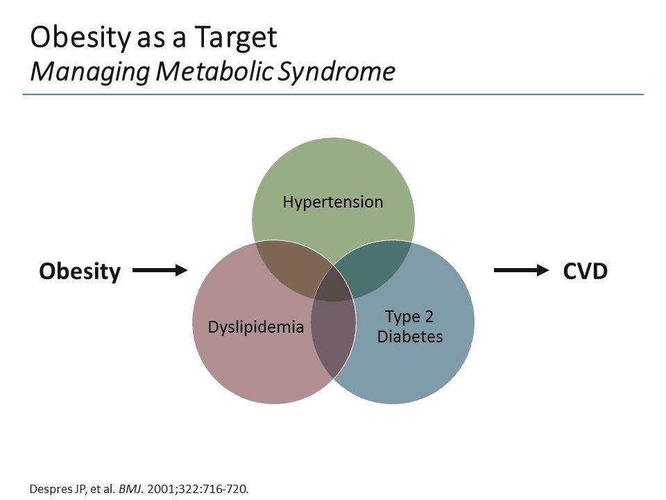 Obesity and Dyslipidemia; How Would You Treat? (Transcript)