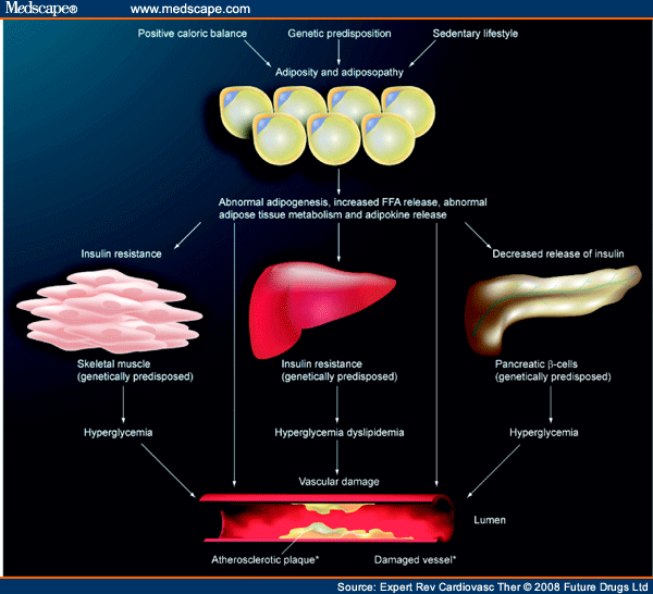 Prescription Omega3 Fatty Acids and Their Lipid Effects