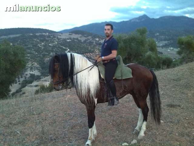 MIL cuidador y domador