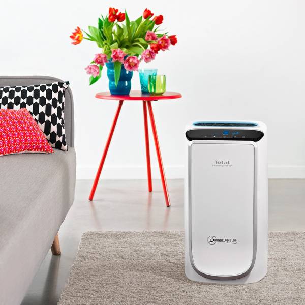 Five Air Purifiers Have Earned The Highest Interest In The India Market