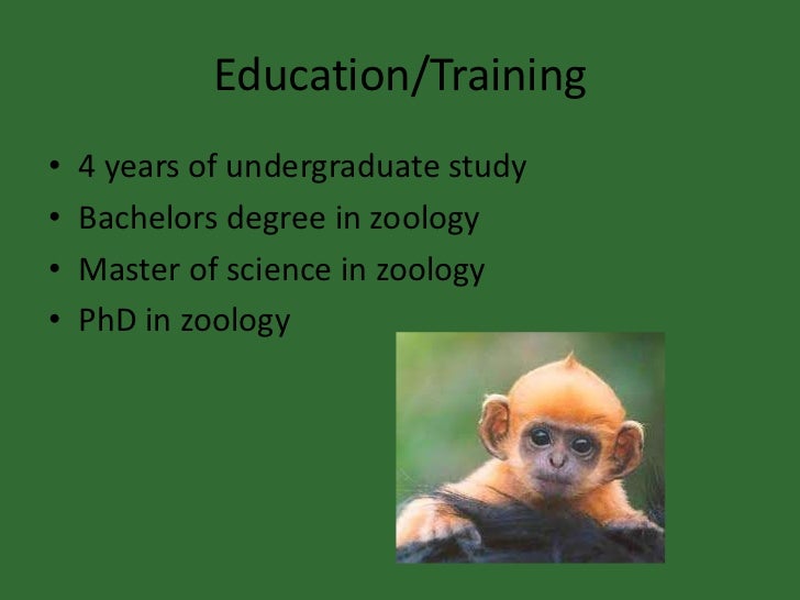 The Three Main Branches Of Zoology MudFooted