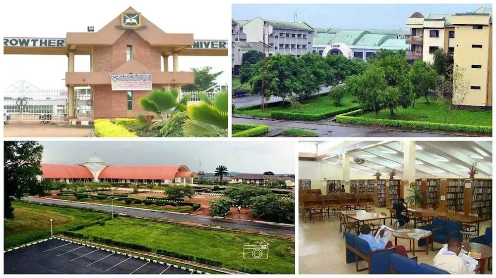 Nigerian Universities Offering Zoology Programs MudFooted