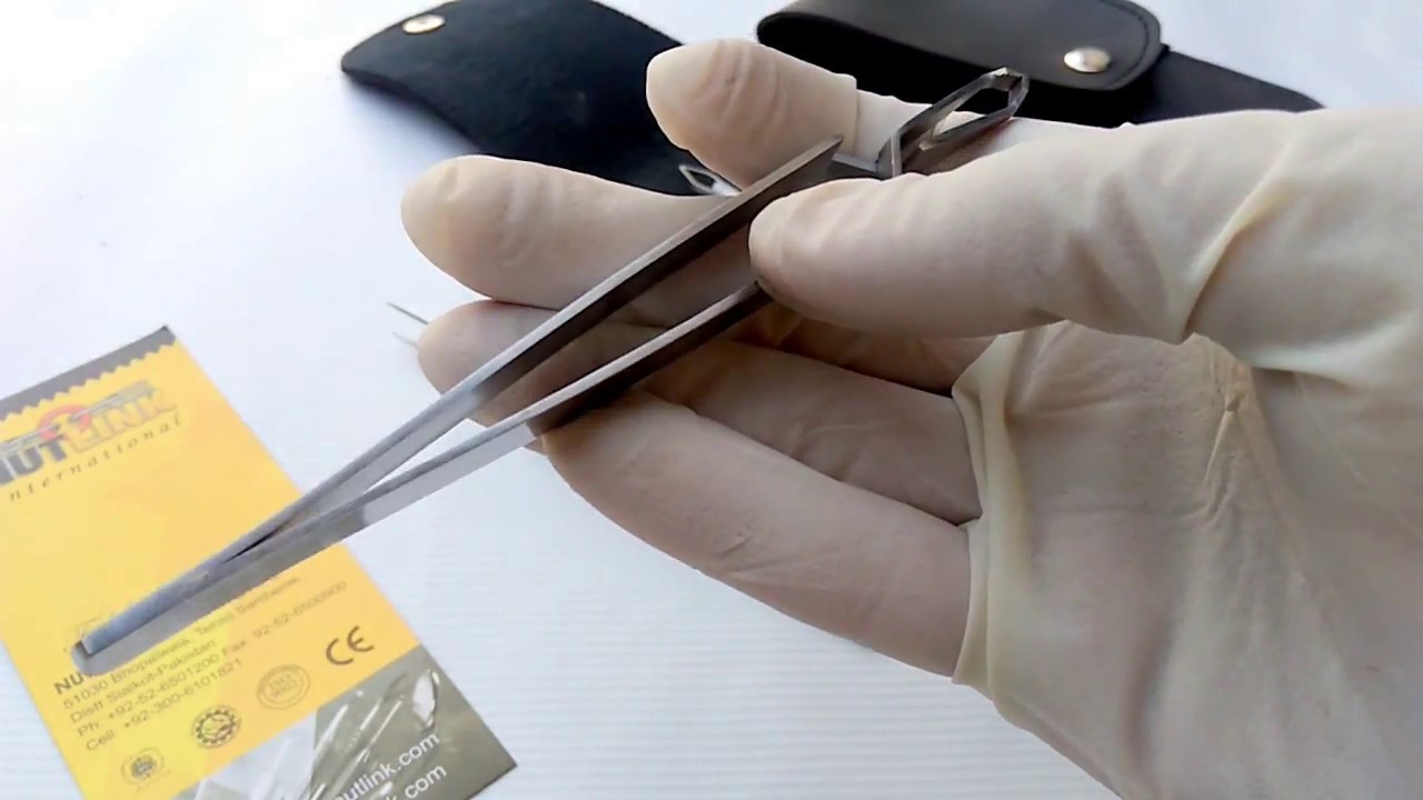 The History And Use Of Tweezers In Zoology MudFooted