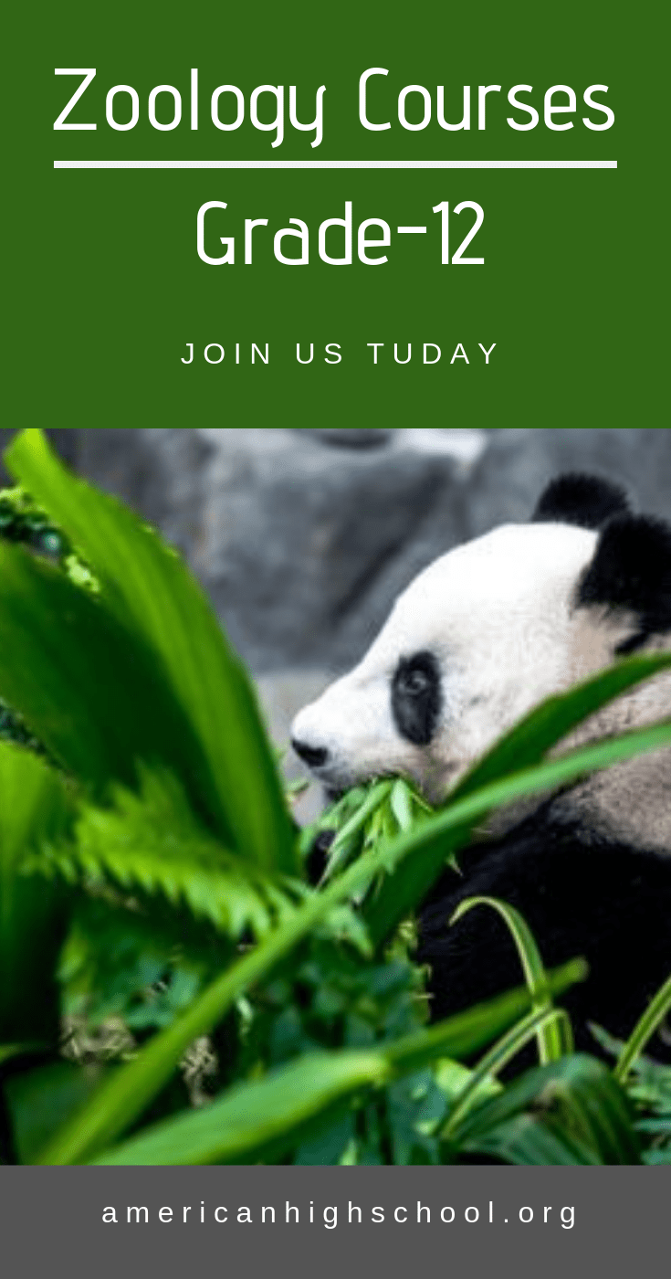 Zoology Degrees In The Quad Cities MudFooted