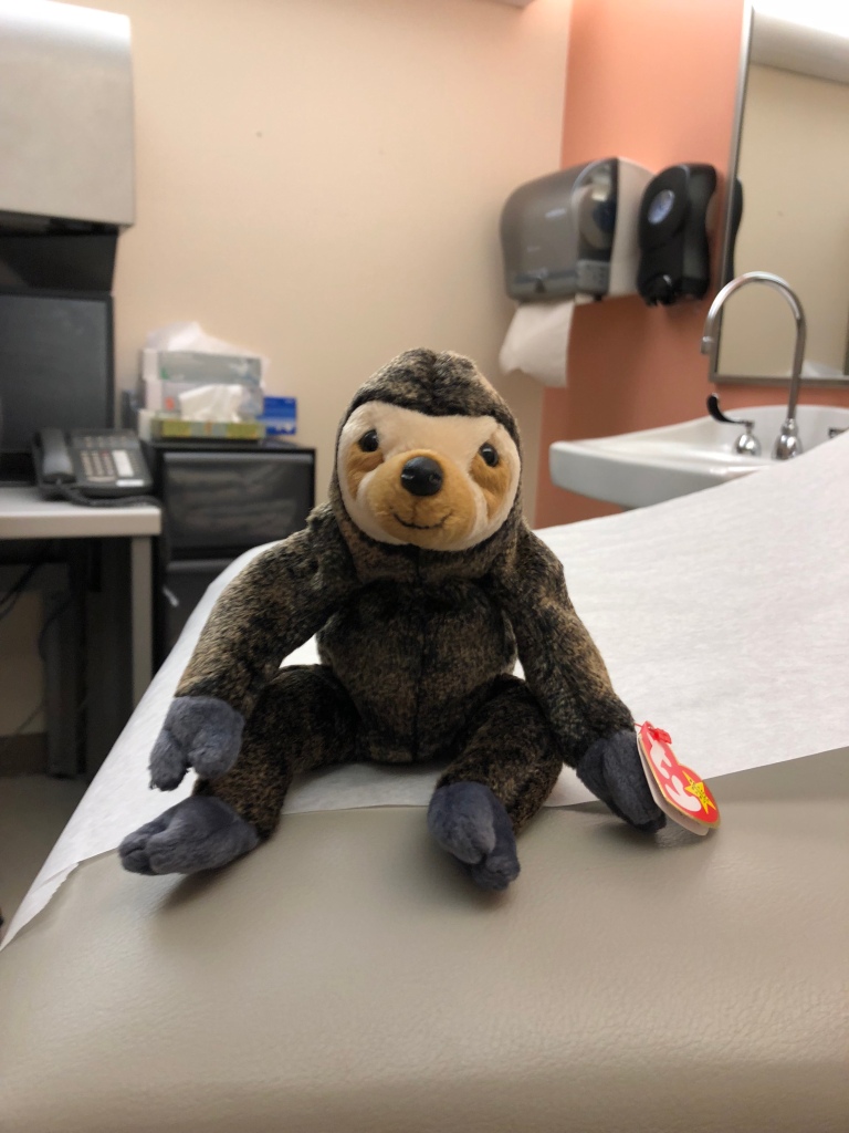 The Potential Of Sloths As A Cancer Treatment MudFooted